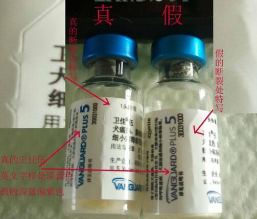 如何辨别辉瑞卫佳疫苗真假？(图3)
