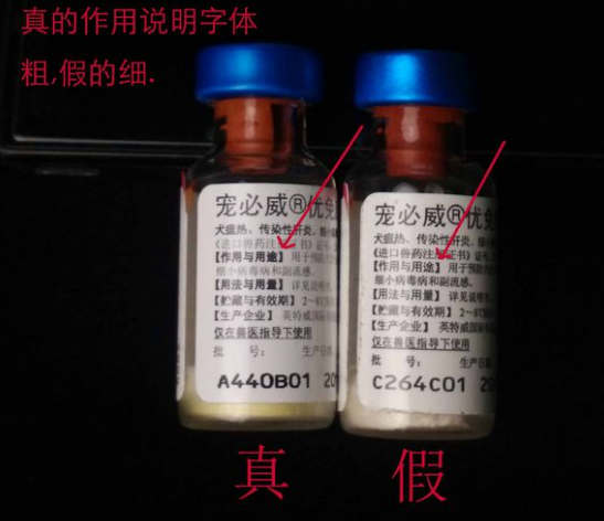 教您辨别英特威疫苗真假方法(图2)