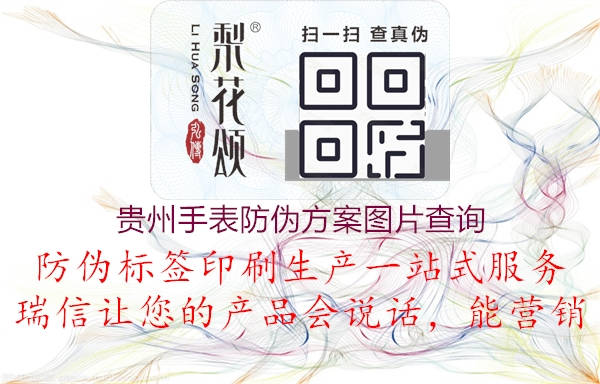 贵州手表防伪方案图片查询1.jpg