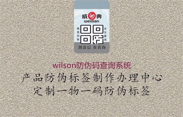 wilson防伪码查询系统1.jpg